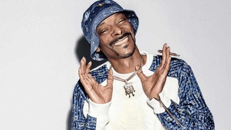 Snoop Dogg Net Worth: Inside His 9-Figure Rap Empire 2